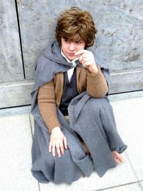 Samwise Gamgee from Lord of the Rings